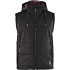 Vinter vest